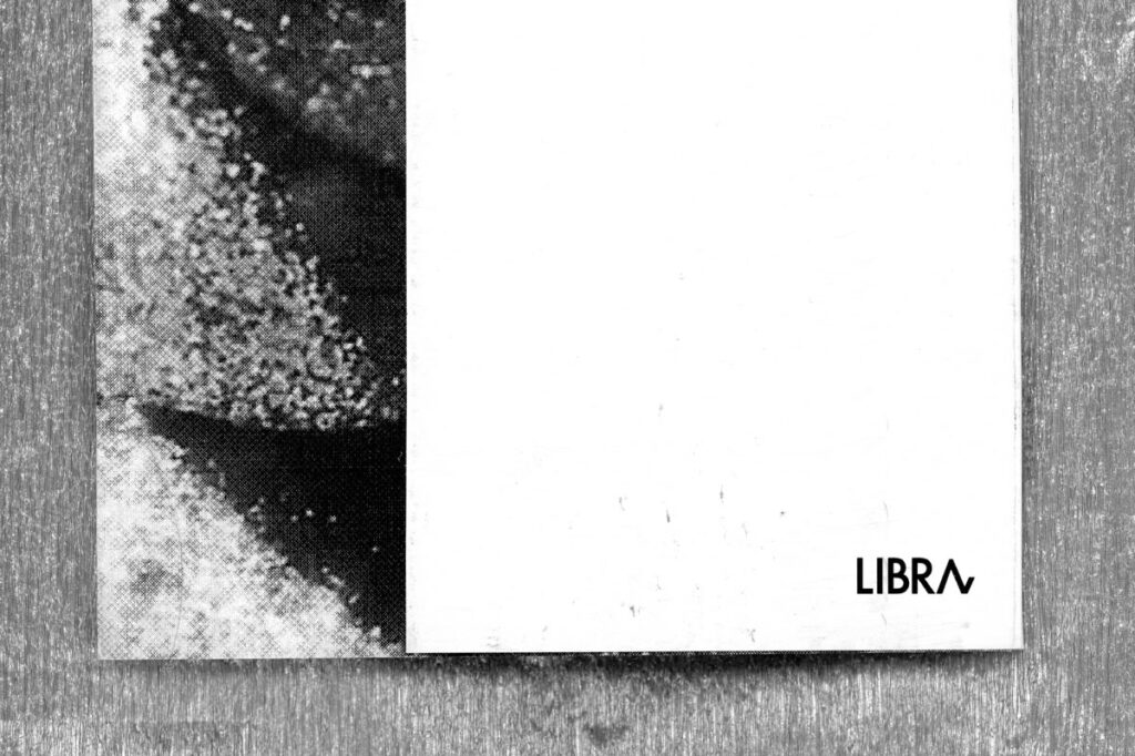 Verisón original de tapa, con solapa exterior