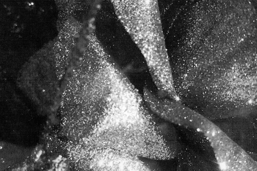 Detalle xerografia de Diana Rietveld, 2019